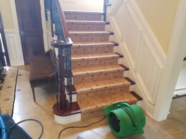 CCarpet Cleaning Park Ridge, IL