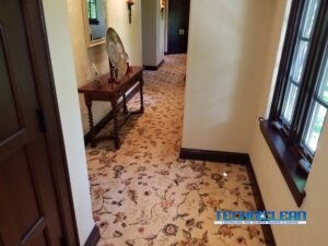 Carpet Cleaning Evanston, IL