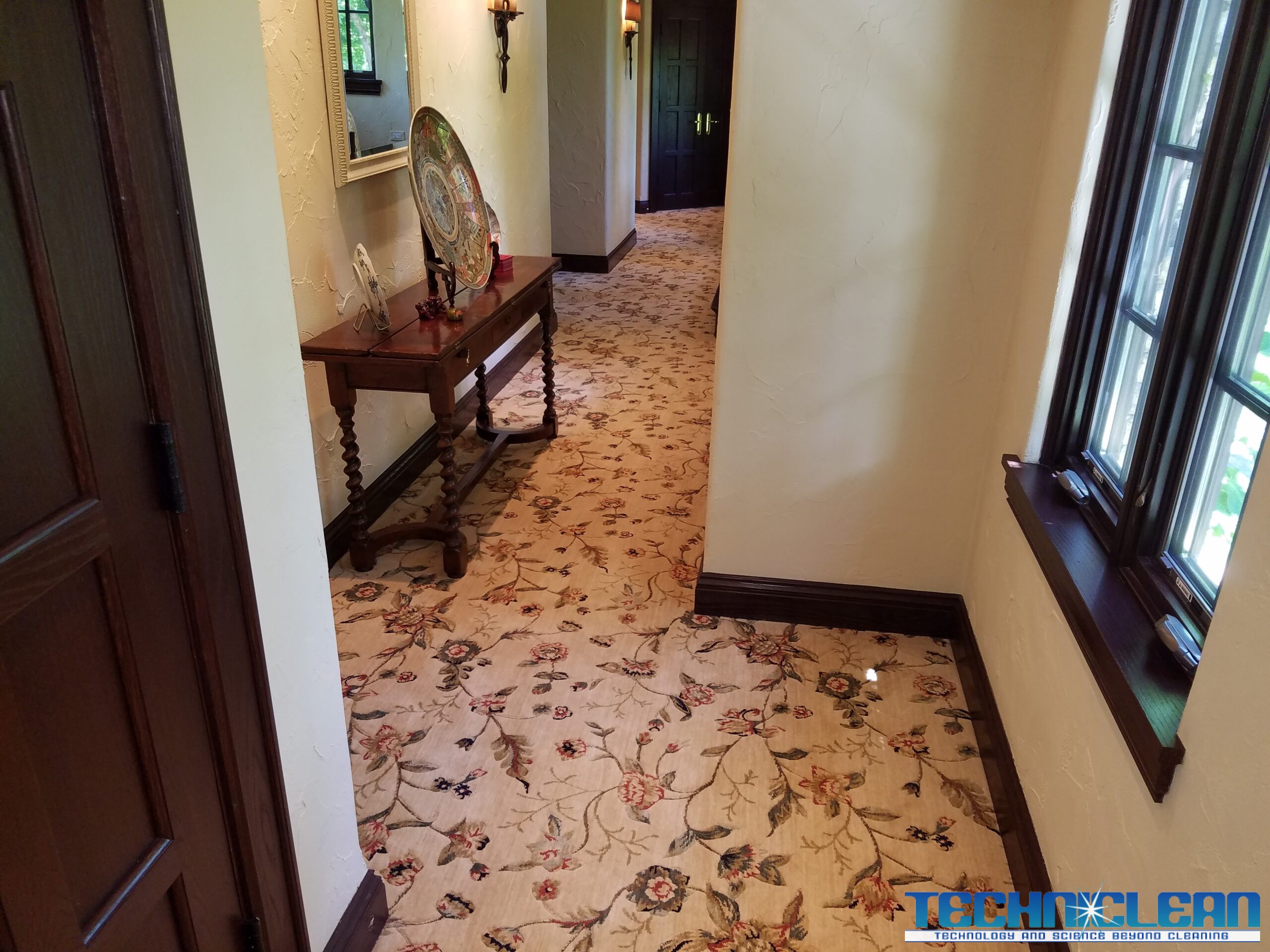 Carpet Cleaning Spring Grove, IL