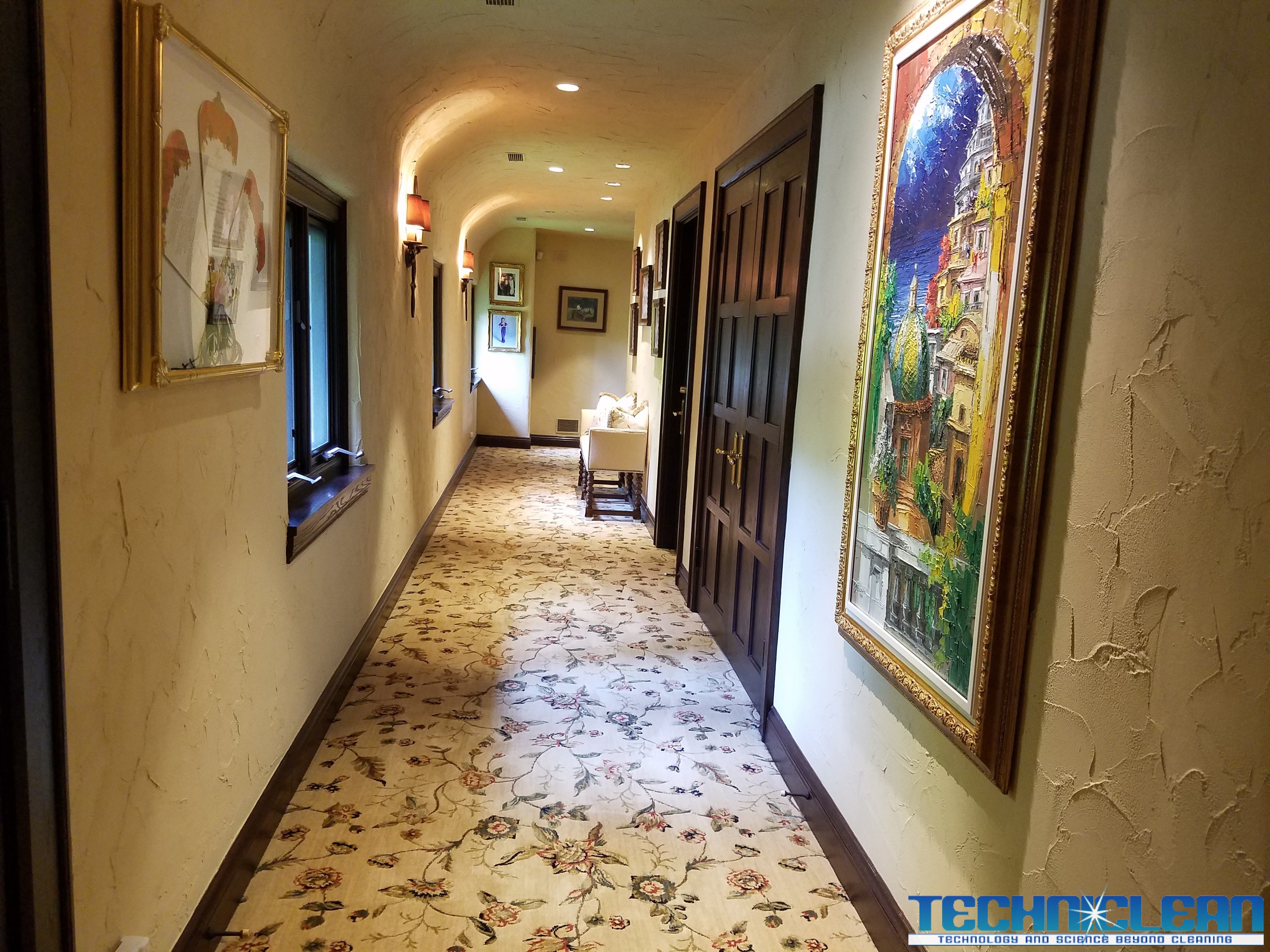 Professional Carpet Cleaning - Techniclean North Shore Chicago