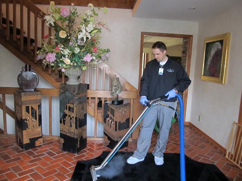 Area Rug Cleaning