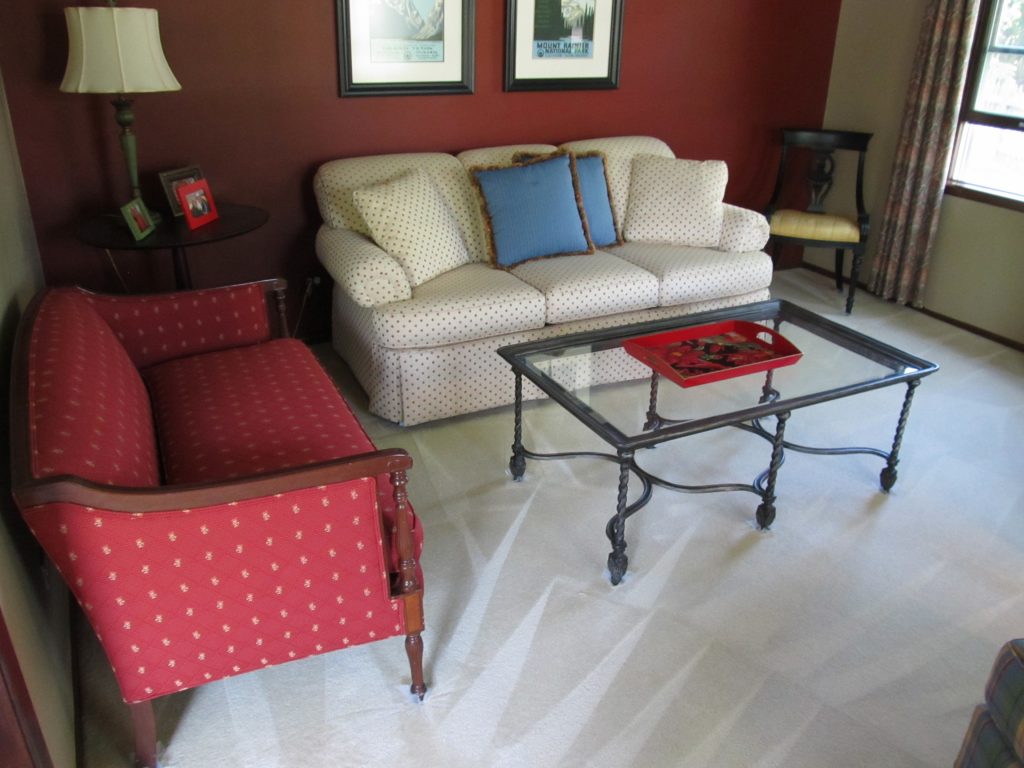 Schaumburg Carpet Cleaners Techniclean Cleaning Restoration