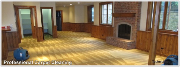 Carpet Cleaning Great Lakes